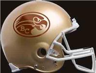 Peel N Stick Helmet