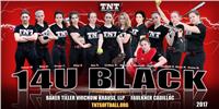 team banner 1